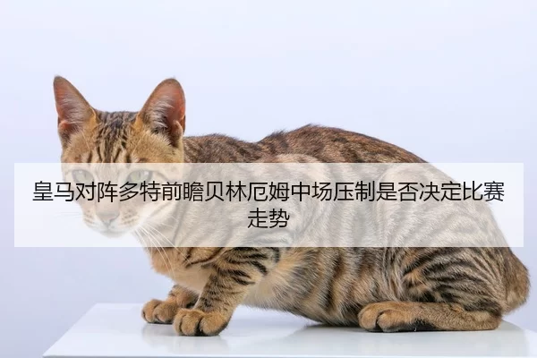 皇马对阵多特前瞻贝林厄姆中场压制是否决定比赛走势